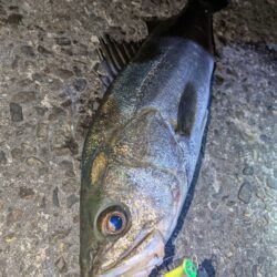 久しぶりの釣行