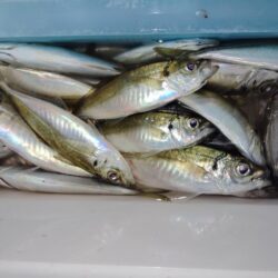 よく湧いてました