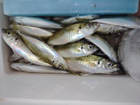 よく湧いてました