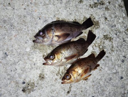 少数精鋭でした