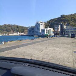 湾内漁港でカマス