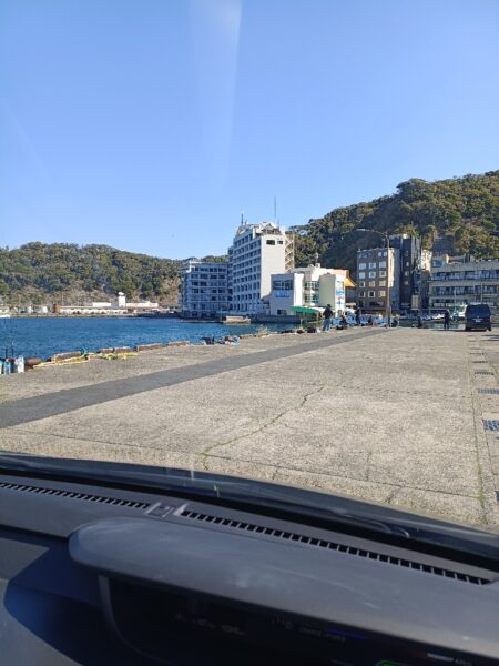 湾内漁港でカマス