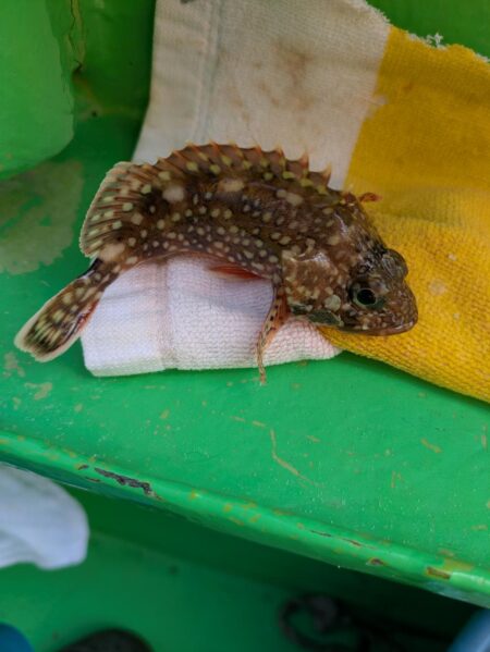 キス釣り☆荒川屋