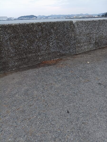 フィッシュイーター不在につき