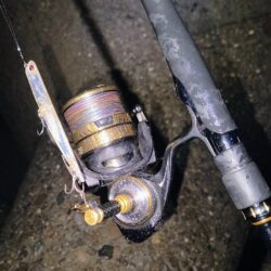 久しぶりの投稿