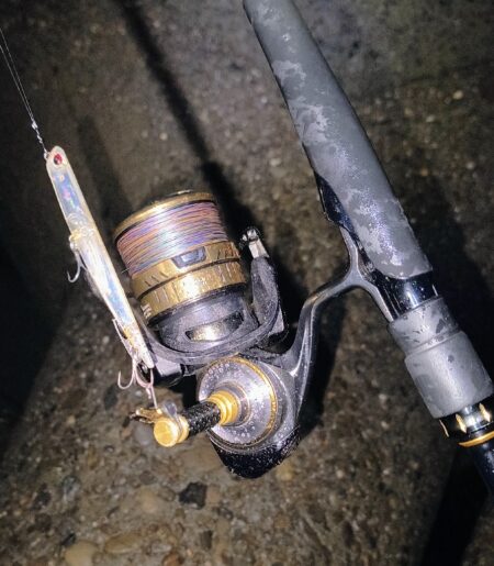 久しぶりの投稿