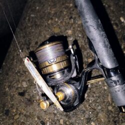 明るいカラーの方がいいのか？