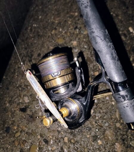 明るいカラーの方がいいのか？