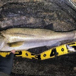 冷たい強風の中⋯