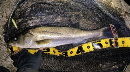 冷たい強風の中⋯