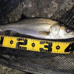 もうちょっと風が弱まって欲しい所