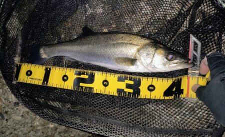 もうちょっと風が弱まって欲しい所