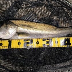 ダウンクロスで狙うのが◎