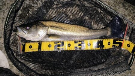 ダウンクロスで狙うのが◎