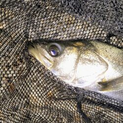 タイミングが悪くても⋯