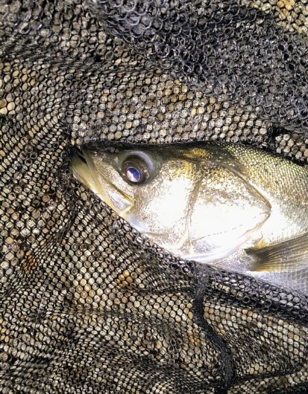 タイミングが悪くても⋯