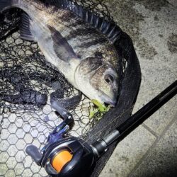 よなよなチニング