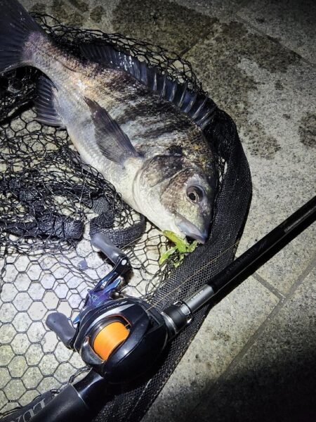 よなよなチニング