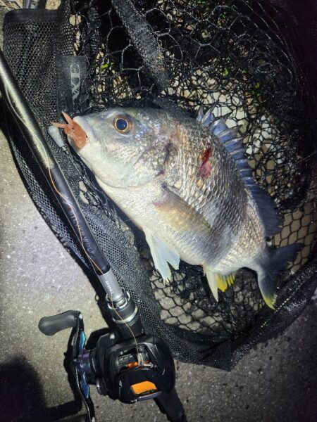 しごおわチニング