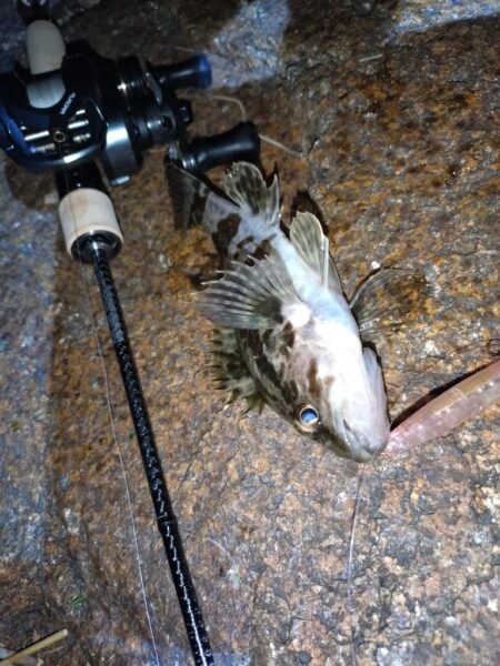 ベイトでメバリング