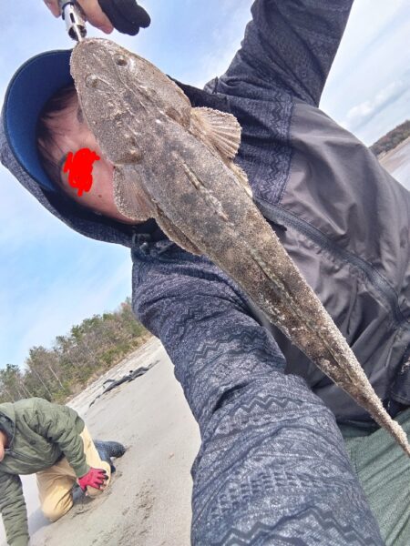 マゴチが釣れました!