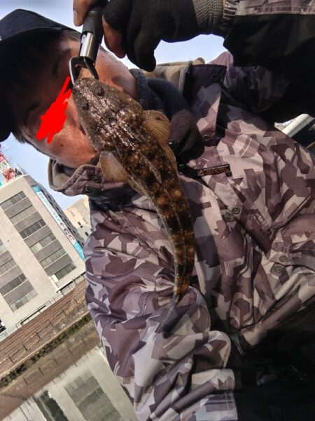 都市型河川でマゴチが釣れました!