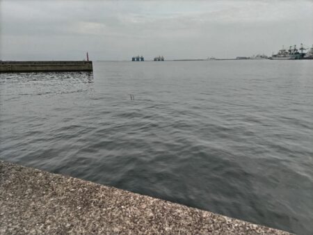 マイクロベイトパターン!