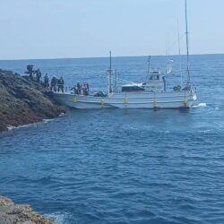 和歌山県串本で磯釣りトーナメント