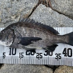 イチノ兄弟、釣果！