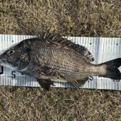 イチノ兄弟、釣果！