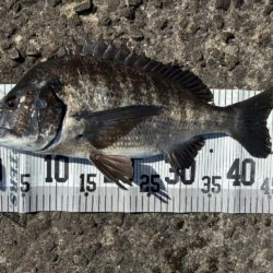 イチノ兄弟、釣果!