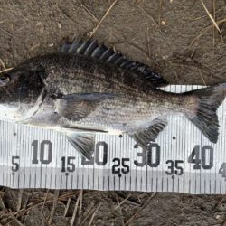 イチノ兄弟、釣果！