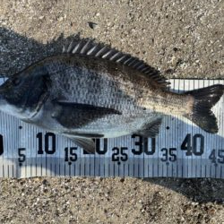 イチノ兄弟、釣果！