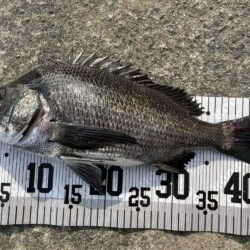 イチノ兄弟、釣果!