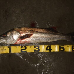 流れの効くタイミング