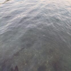 久しぶりの釣果