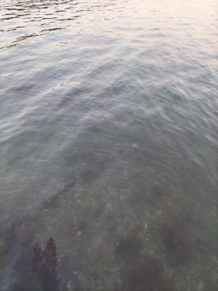 久しぶりの釣果