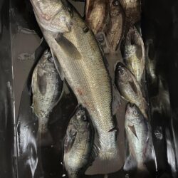 爆風ライトゲーム