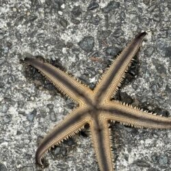 ここでも釣れる