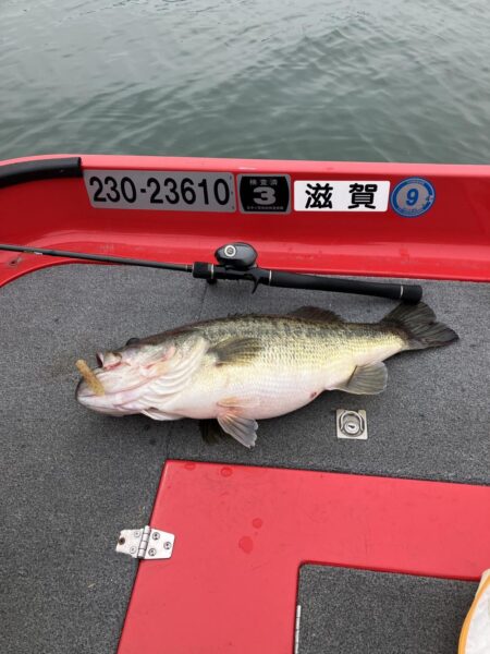 今シーズン1号北山田60cm4100g