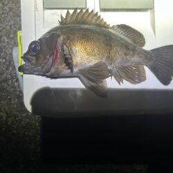 フロートメバリング