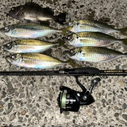 超人気スポットでデイアジング