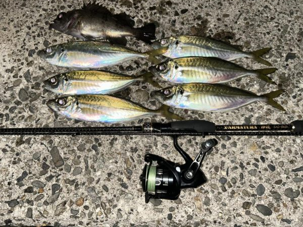 超人気スポットでデイアジング