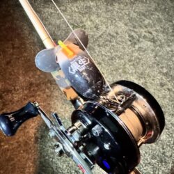 今年に入って10回目のナマズ釣行