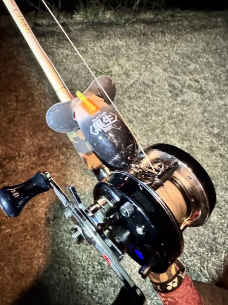 今年に入って10回目のナマズ釣行