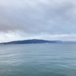 真冬の海でカサゴゲット！