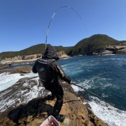 和歌山市江（吉丸渡船）でグレ釣り