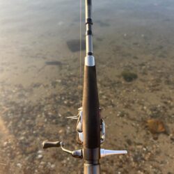 今年の初チヌ!た