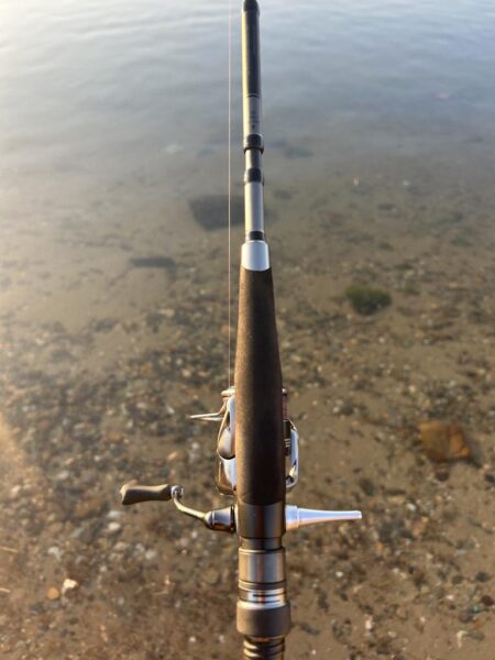 今年の初チヌ!た