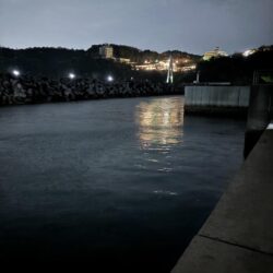 アジングプチ遠征